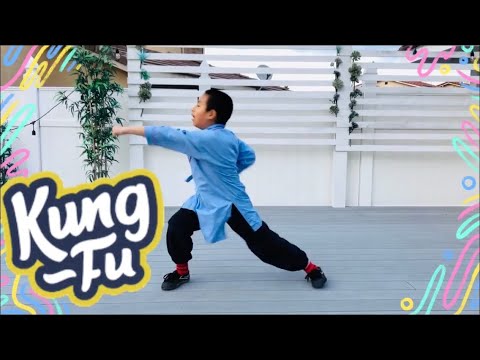 kung fu beginner training pdf