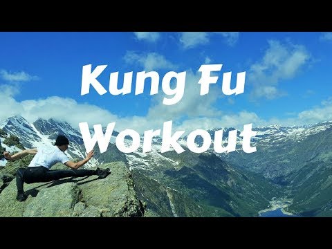 kung fu beginner training pdf